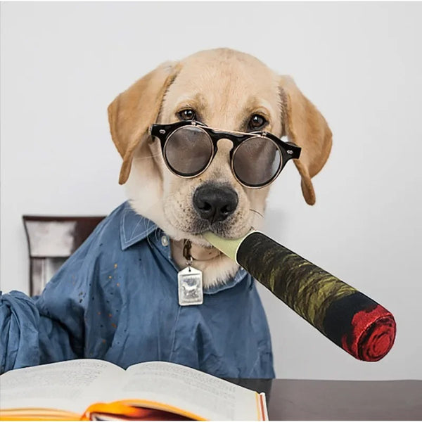 The Doggie Doobie - Dog Fetch Toy