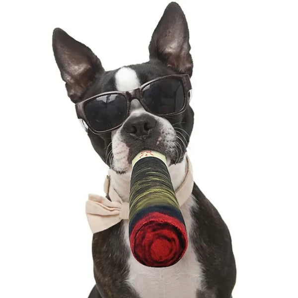 The Doggie Doobie - Dog Fetch Toy